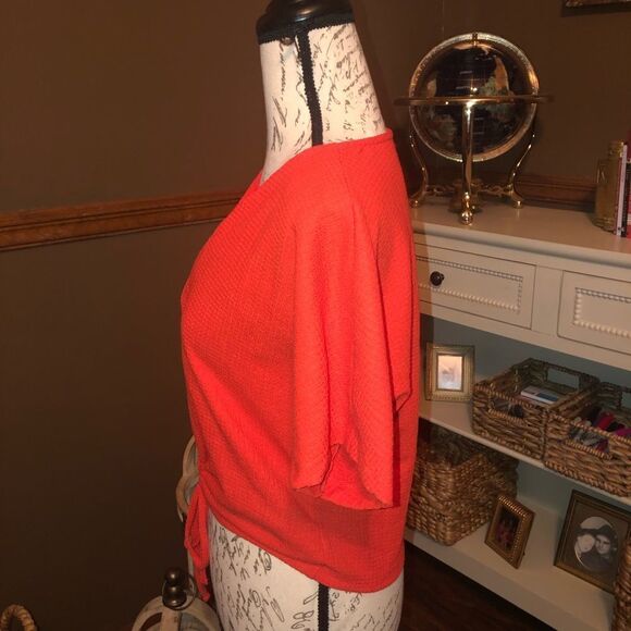 Adorable Zara Top  - Picture 6 of 7